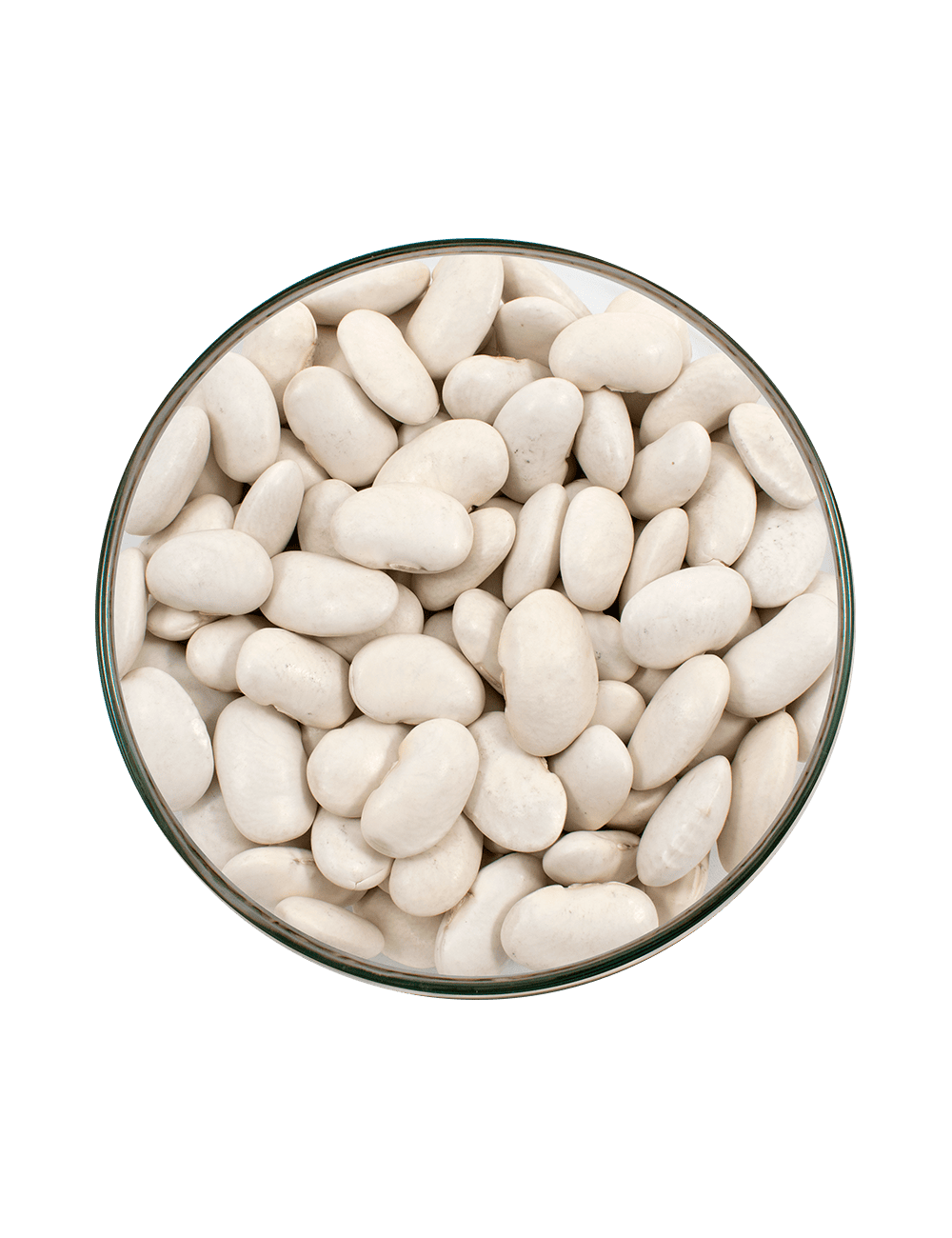 P-ALUBIA BLANCA GOURMET