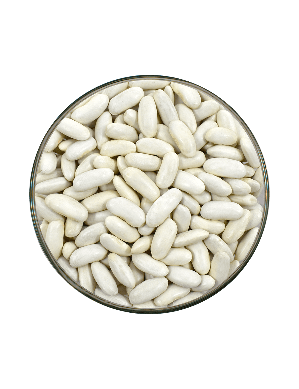 P-ALUBIA BLANCA