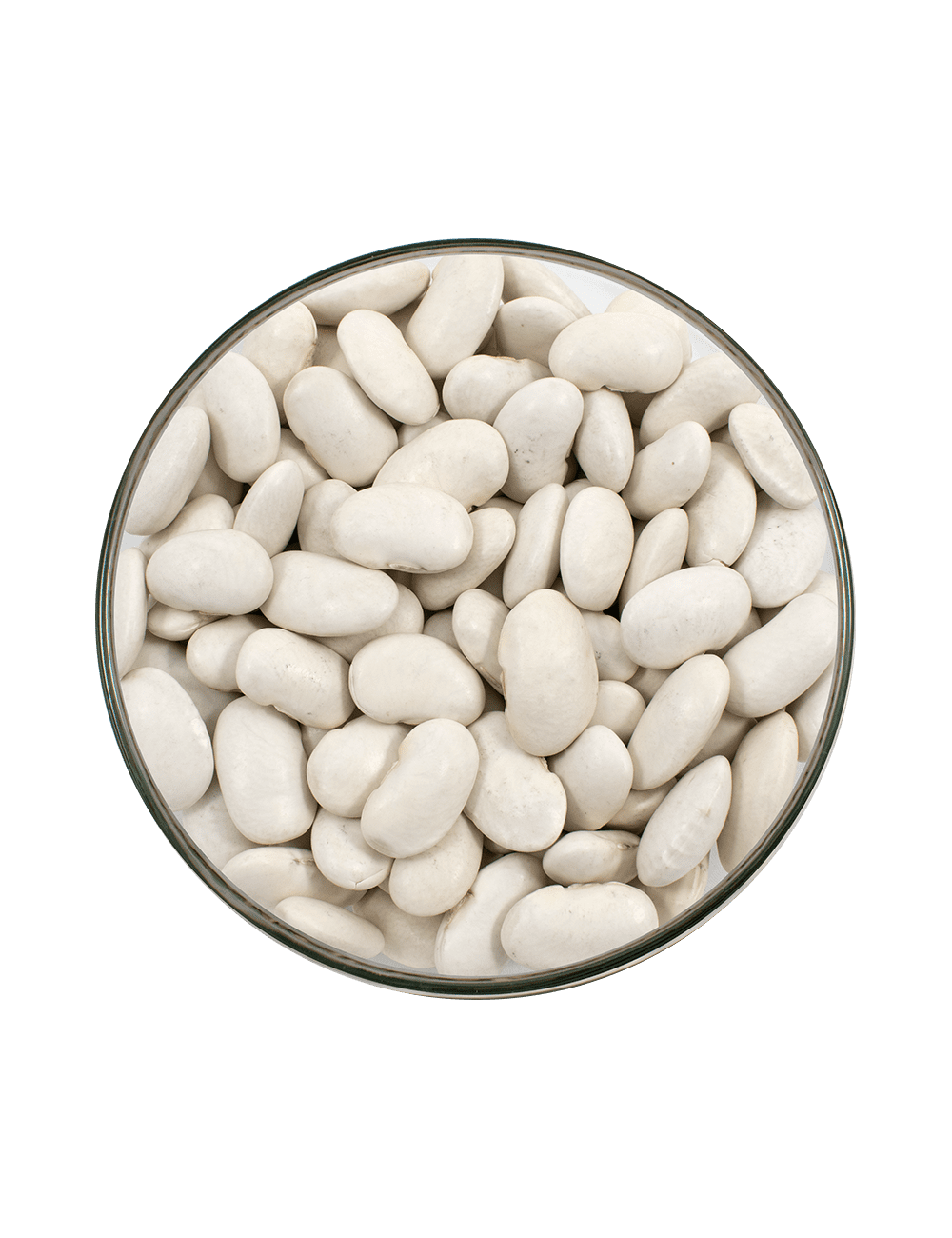 P- ALUBIA FABADA JUDIÓN SELECCIÓN