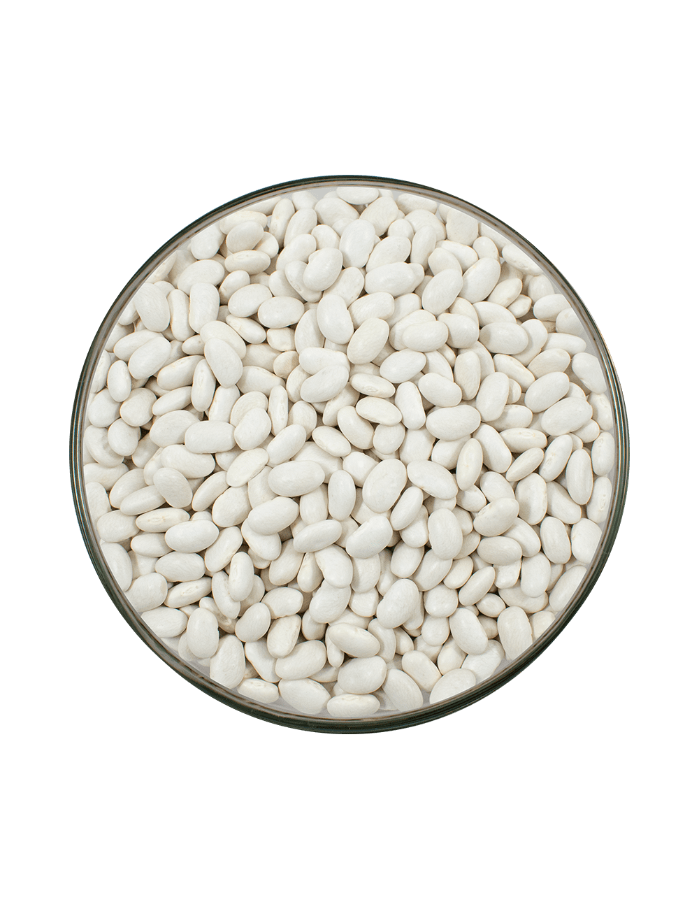 P-Alubia Greath Northern Selección