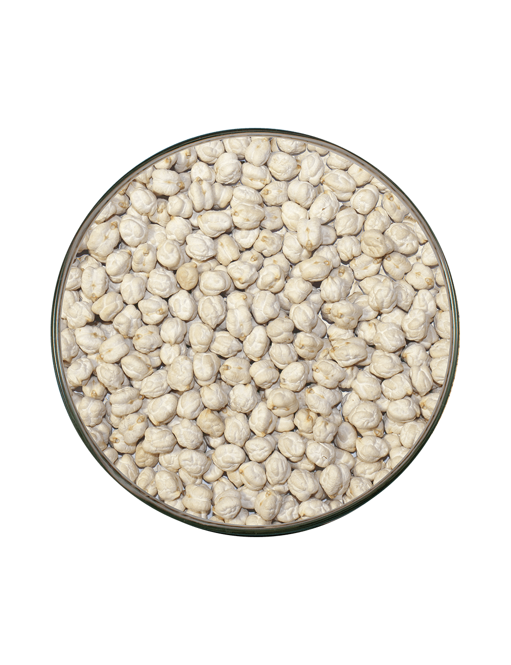 P-GARBANZO LECHOSO