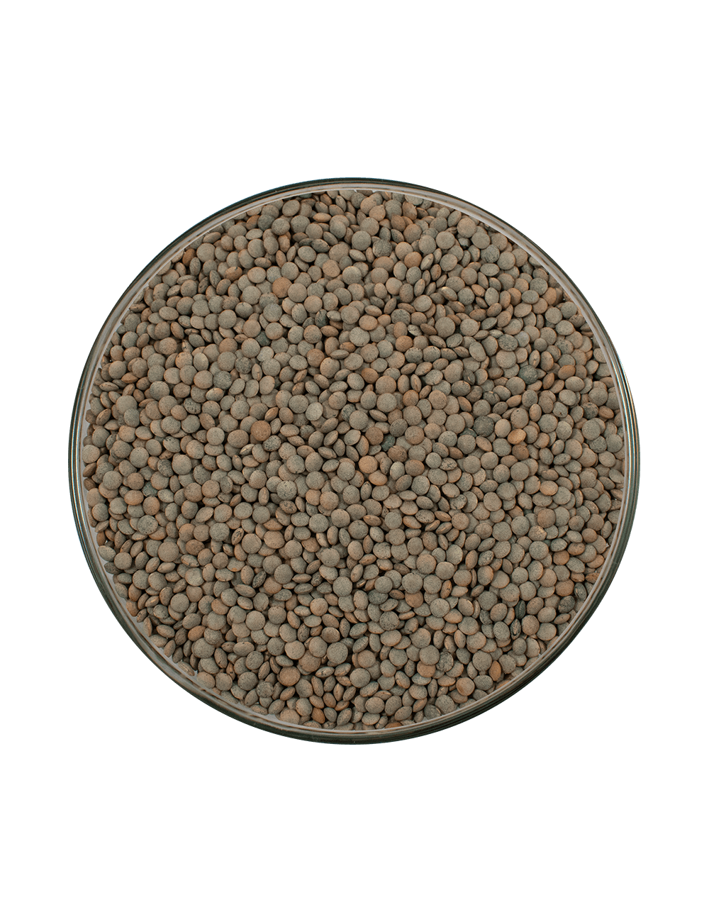 P-LENTEJA PARDINA EXTRA SELECCIÓN