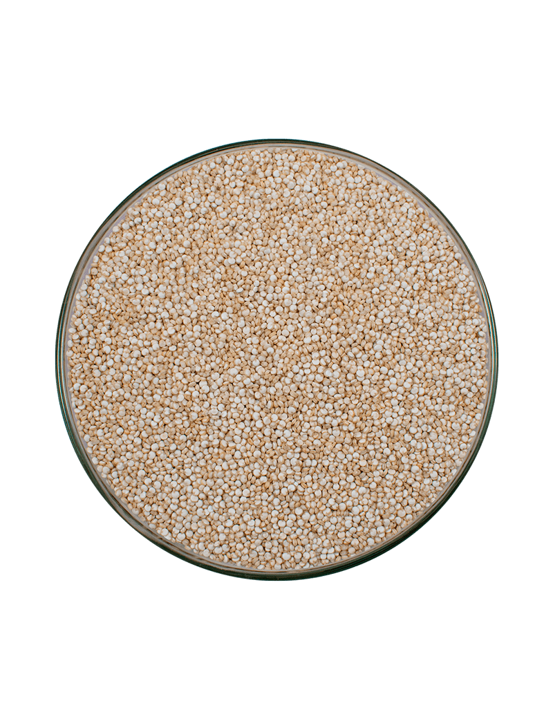 quinoa-BIO
